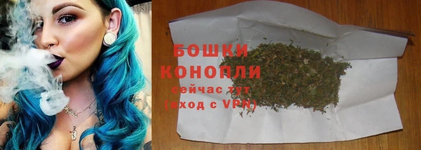 твердый Надым
