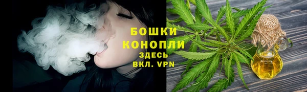 гашик Михайловка