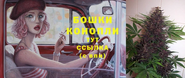 гашик Михайловка