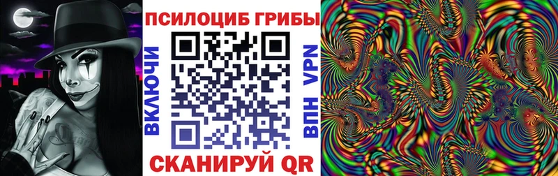 Псилоцибиновые грибы Cubensis Белореченск