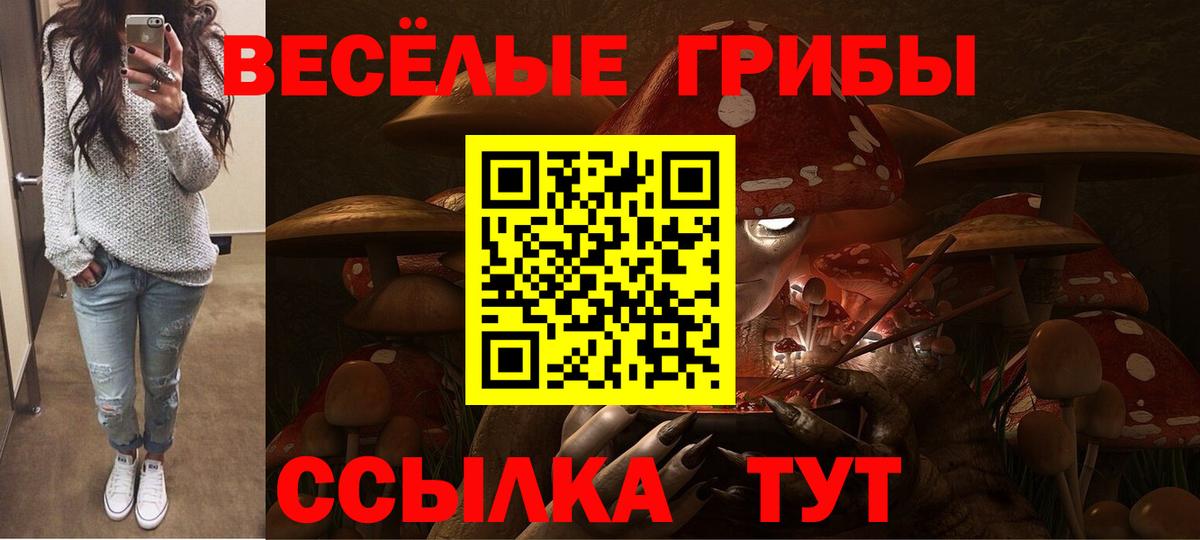 Галлюциногенные грибы мицелий  Белореченск 